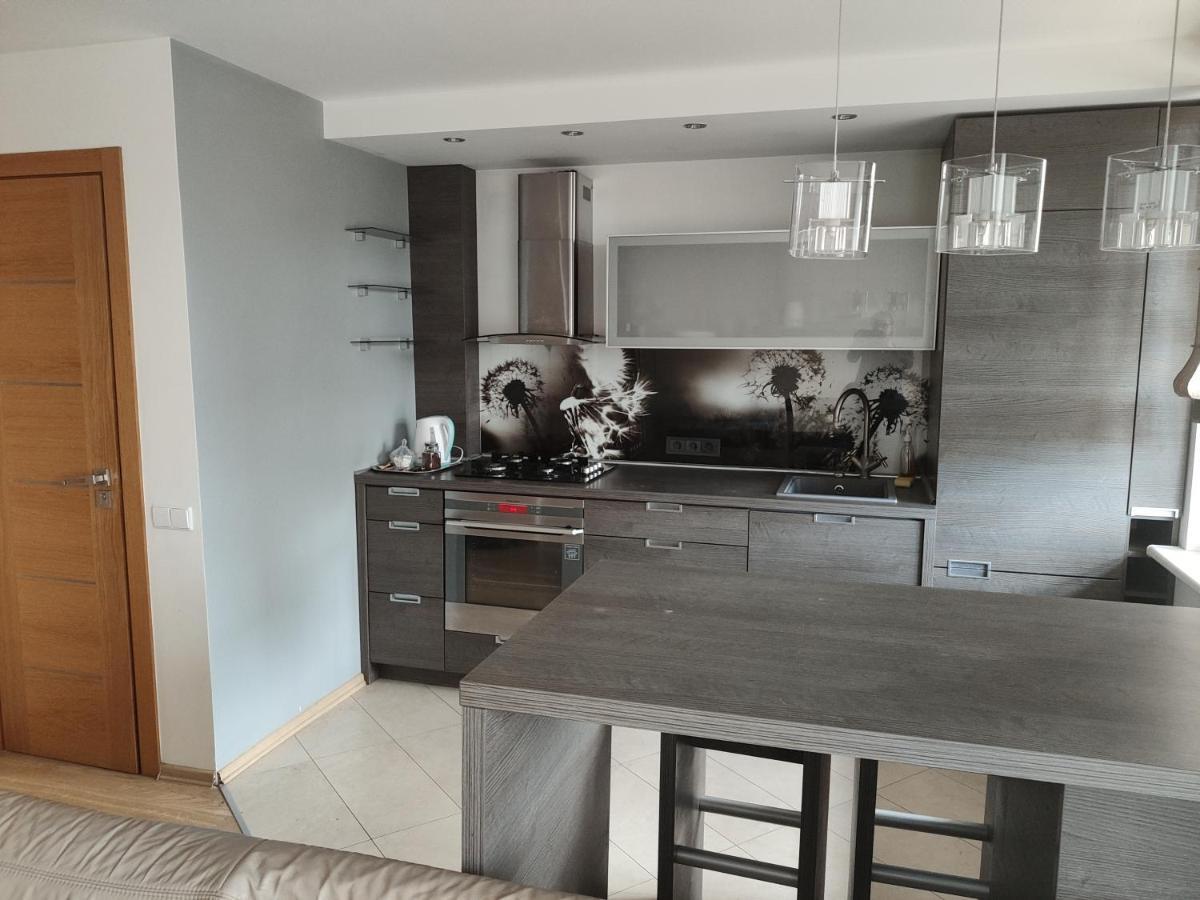 Nikoletos Apartamentai Panevėžys Exteriér fotografie